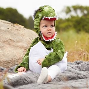 Green Dinosaur Egg Costume (no tags)